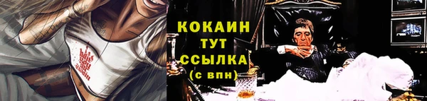 трава Арсеньев