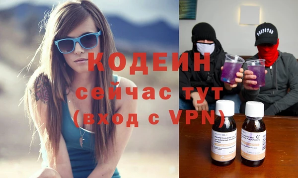 трава Арсеньев