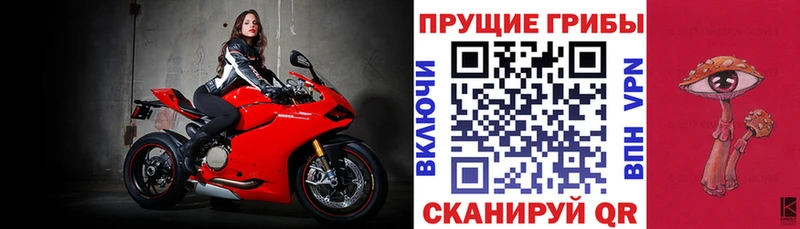 blacksprut вход Узловая Галлюциногенные грибы ЛСД